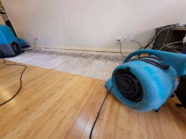 Professional Structural Drying technician working in Prince Frederick, MD